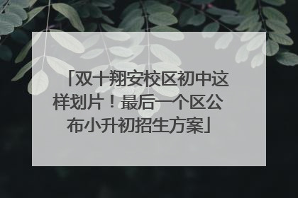 双十翔安校区初中这样划片！最后一个区公布小升初招生方案