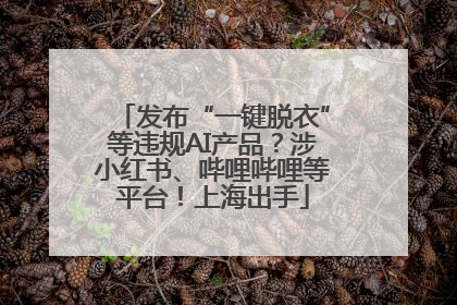 发布“一键脱衣”等违规AI产品？涉小红书、哔哩哔哩等平台！上海出手