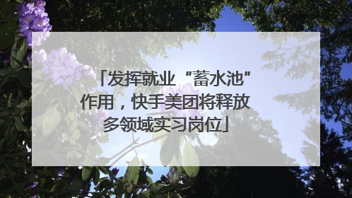 发挥就业“蓄水池”作用，快手美团将释放多领域实习岗位