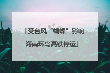 受台风“蝴蝶”影响 海南环岛高铁停运