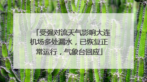 受强对流天气影响大连机场多处漏水，已恢复正常运行，气象台回应