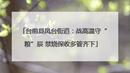 台前县凤台街道：战高温守“粮”辰 禁烧保收多管齐下