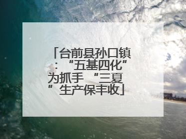 台前县孙口镇：“五基四化”为抓手 “三夏”生产保丰收