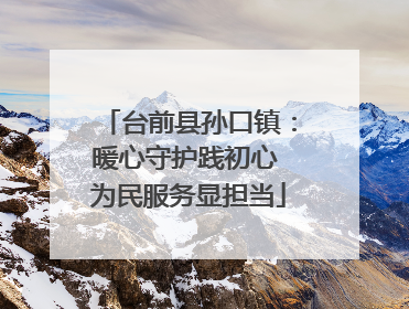 台前县孙口镇：暖心守护践初心 为民服务显担当