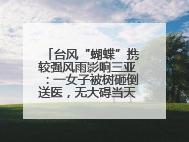 台风“蝴蝶”携较强风雨影响三亚：一女子被树砸倒送医，无大碍当天回家 当地已紧急清障