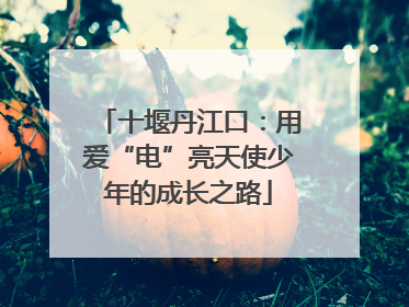 十堰丹江口：用爱“电”亮天使少年的成长之路