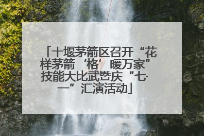 十堰茅箭区召开“花样茅箭‘格’暖万家”技能大比武暨庆“七·一”汇演活动