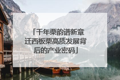 千年栗韵谱新章 迁西板栗高质发展背后的产业密码
