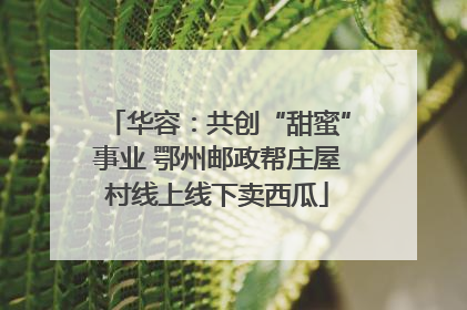 华容：共创“甜蜜”事业 鄂州邮政帮庄屋村线上线下卖西瓜