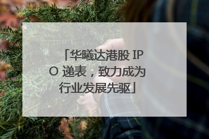 华曦达港股 IPO 递表，致力成为行业发展先驱