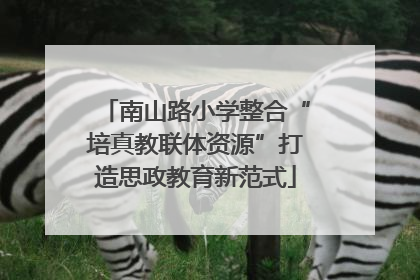 南山路小学整合“培真教联体资源”打造思政教育新范式