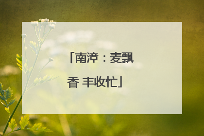 南漳：麦飘香 丰收忙