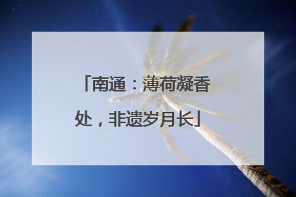 南通：薄荷凝香处，非遗岁月长