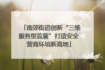 南郊街道创新“三维服务型监管”打造安全营商环境新高地