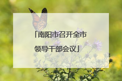 南阳市召开全市领导干部会议
