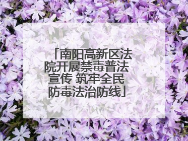 南阳高新区法院开展禁毒普法宣传 筑牢全民防毒法治防线