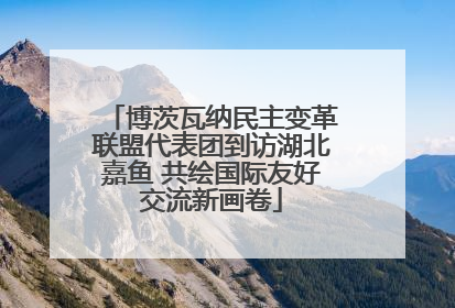 博茨瓦纳民主变革联盟代表团到访湖北嘉鱼 共绘国际友好交流新画卷