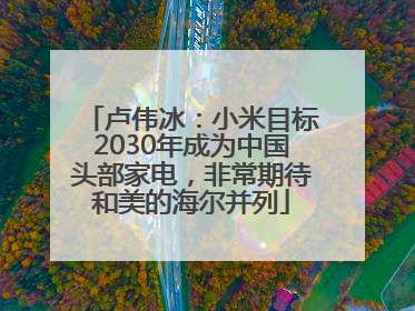 卢伟冰：小米目标2030年成为中国头部家电，非常期待和美的海尔并列