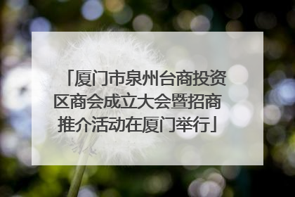 厦门市泉州台商投资区商会成立大会暨招商推介活动在厦门举行