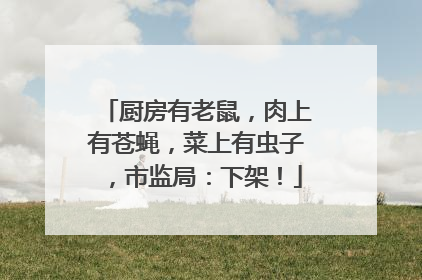 厨房有老鼠，肉上有苍蝇，菜上有虫子，市监局：下架！