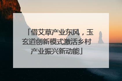 借艾草产业东风，玉玄道创新模式激活乡村产业振兴新动能