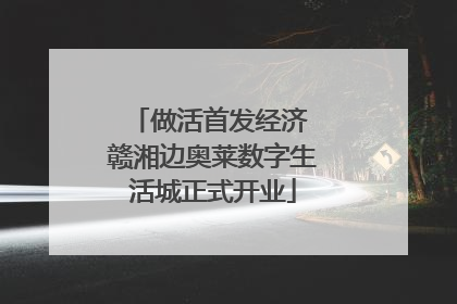 做活首发经济 赣湘边奥莱数字生活城正式开业