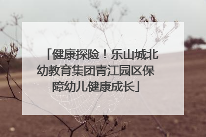 健康探险！乐山城北幼教育集团青江园区保障幼儿健康成长