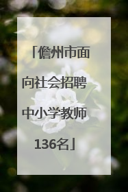 儋州市面向社会招聘中小学教师136名