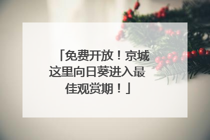 免费开放！京城这里向日葵进入最佳观赏期！
