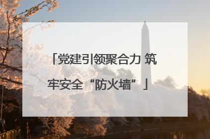 党建引领聚合力 筑牢安全“防火墙”