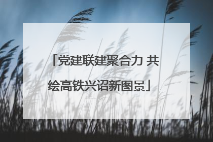 党建联建聚合力 共绘高铁兴诏新图景