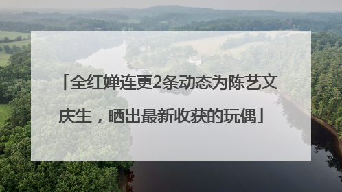 全红婵连更2条动态为陈艺文庆生，晒出最新收获的玩偶
