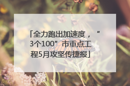 全力跑出加速度，“3个100”市重点工程5月攻坚传捷报