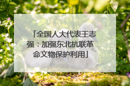 全国人大代表王志强：加强东北抗联革命文物保护利用