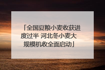 全国夏粮小麦收获进度过半 河北冬小麦大规模机收全面启动