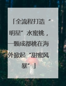 全流程打造“明星”水蜜桃，一颗成都桃在海外掀起“甜蜜风暴”