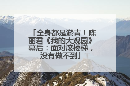 全身都是淤青！陈丽君《我的大观园》幕后：面对滚楼梯，没有做不到