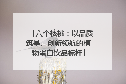 六个核桃：以品质筑基、创新领航的植物蛋白饮品标杆