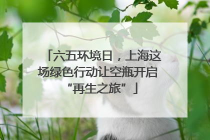 六五环境日，上海这场绿色行动让空瓶开启 “再生之旅”