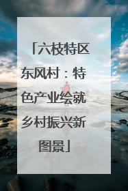 六枝特区东风村：特色产业绘就乡村振兴新图景