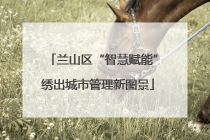 兰山区“智慧赋能”绣出城市管理新图景