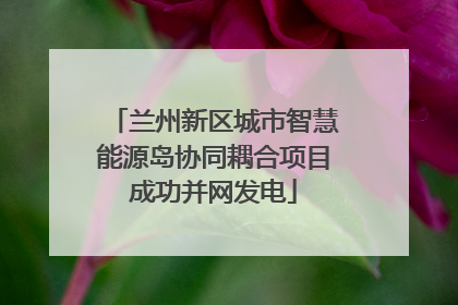 兰州新区城市智慧能源岛协同耦合项目成功并网发电