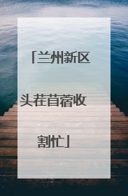 兰州新区头茬苜蓿收割忙