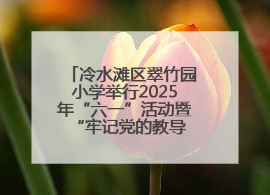 冷水滩区翠竹园小学举行2025年“六一”活动暨“牢记党的教导 争做强国少年”新队员入队仪式