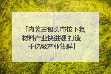 内蒙古包头市按下氟材料产业快进键 打造千亿级产业集群