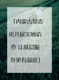 内蒙古常态化开展实地访查 让基层服务更有温度
