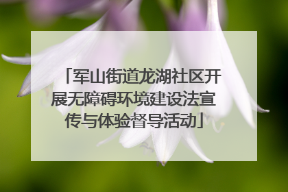 军山街道龙湖社区开展无障碍环境建设法宣传与体验督导活动