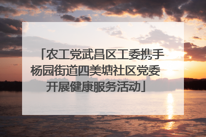 农工党武昌区工委携手杨园街道四美塘社区党委开展健康服务活动