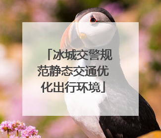 冰城交警规范静态交通优化出行环境