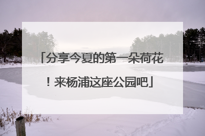 分享今夏的第一朵荷花！来杨浦这座公园吧